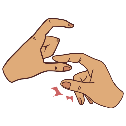 ş