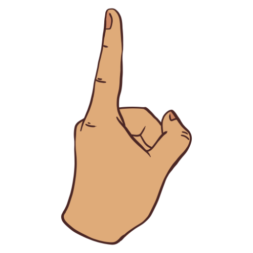 ı